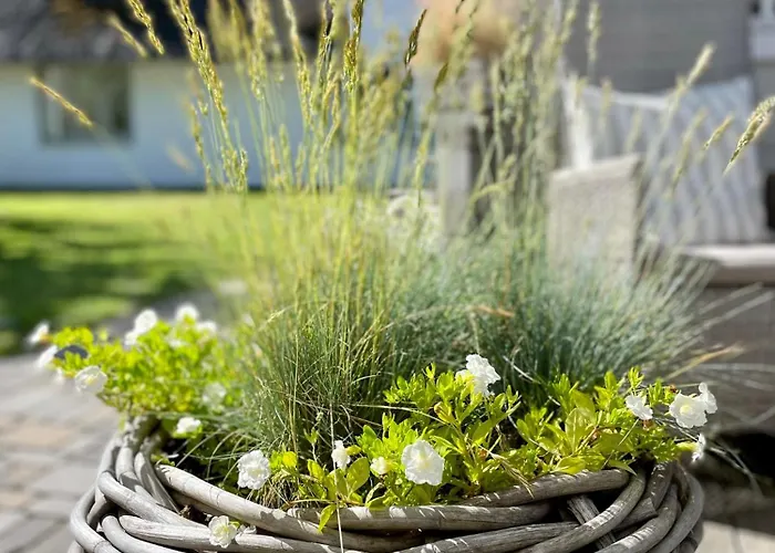 Reetkate Am Deich * Stinteck